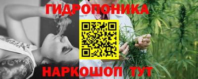 винт Новокубанск