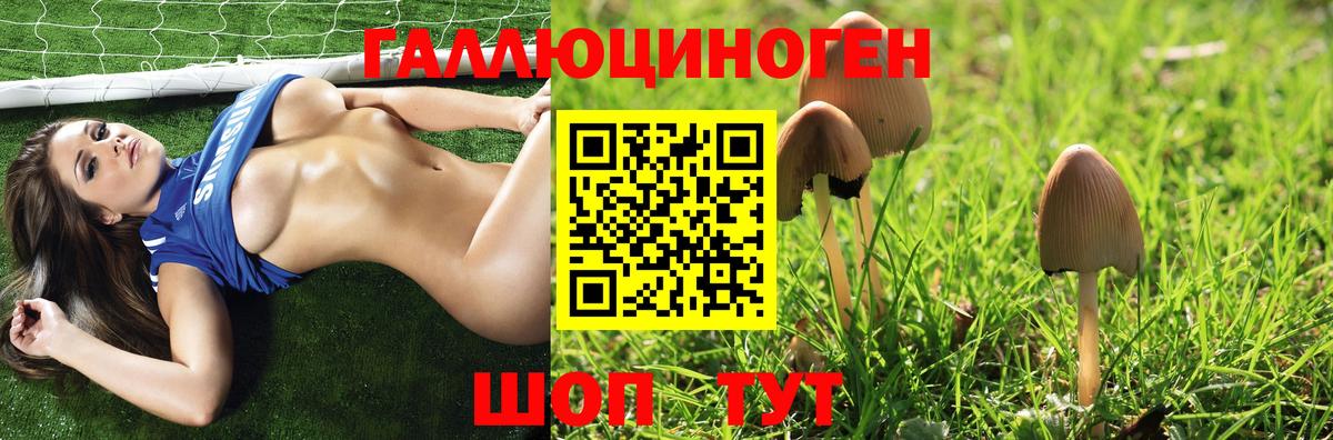 Псилоцибиновые грибы GOLDEN TEACHER Нягань
